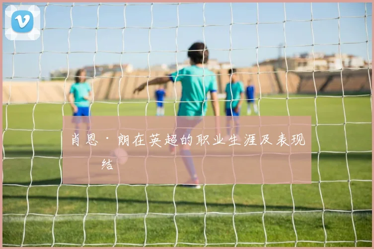 肖恩·朗在英超的职业生涯及表现总结