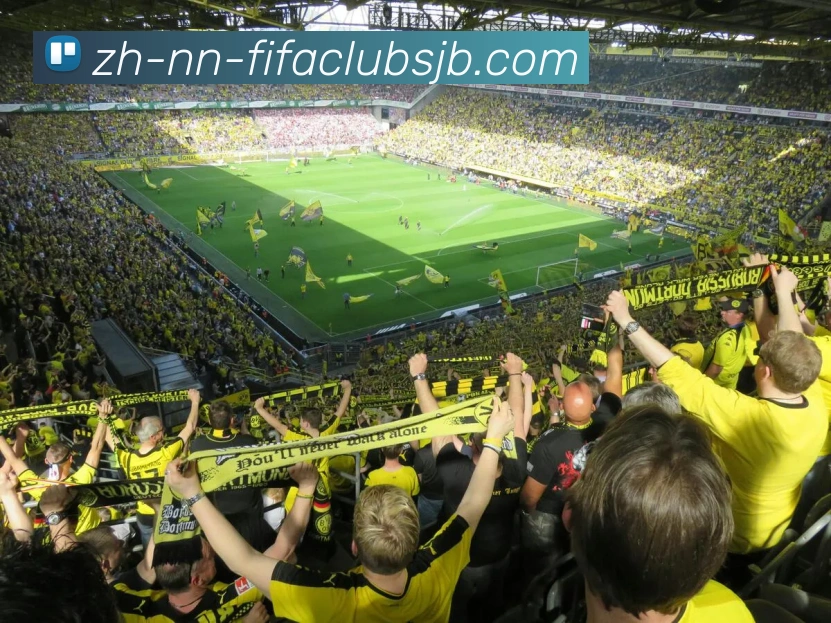 世界杯赛程平台生态图